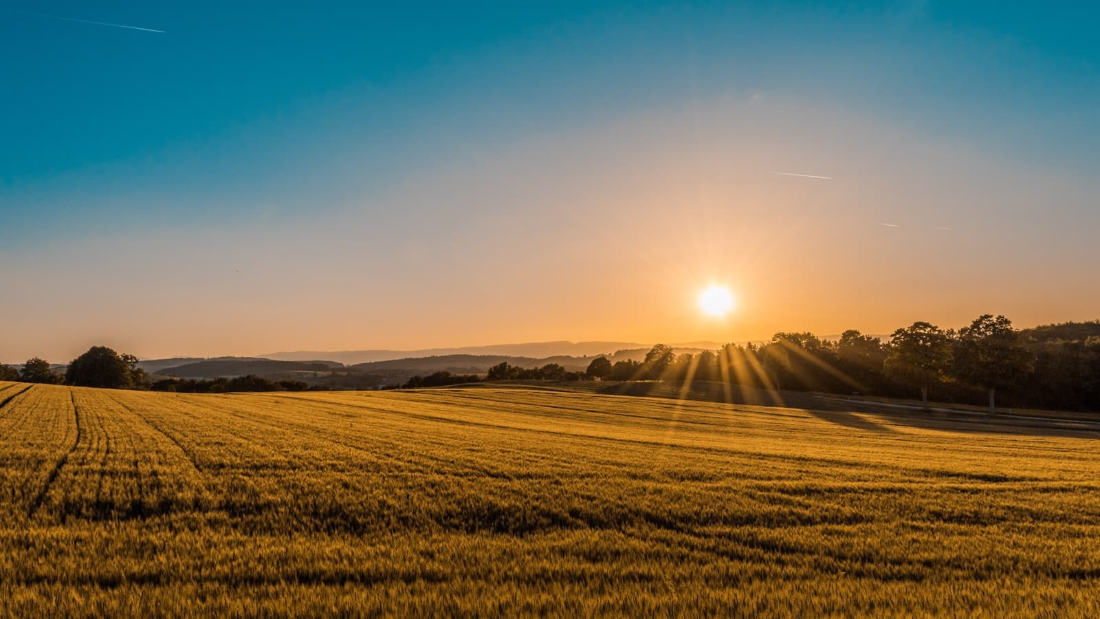 Sun rising over open Texas ranch land